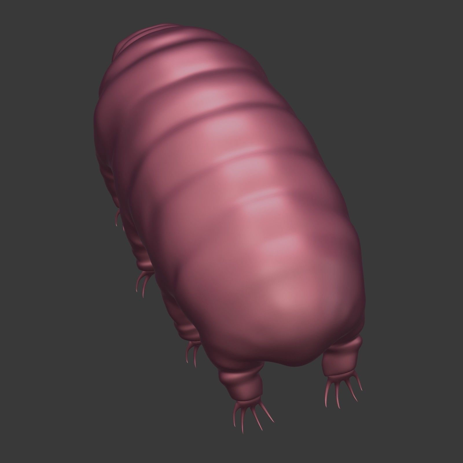 Tardigrade - Microscopic Water Bear - Moss Piglet Low-poly 3D model_26