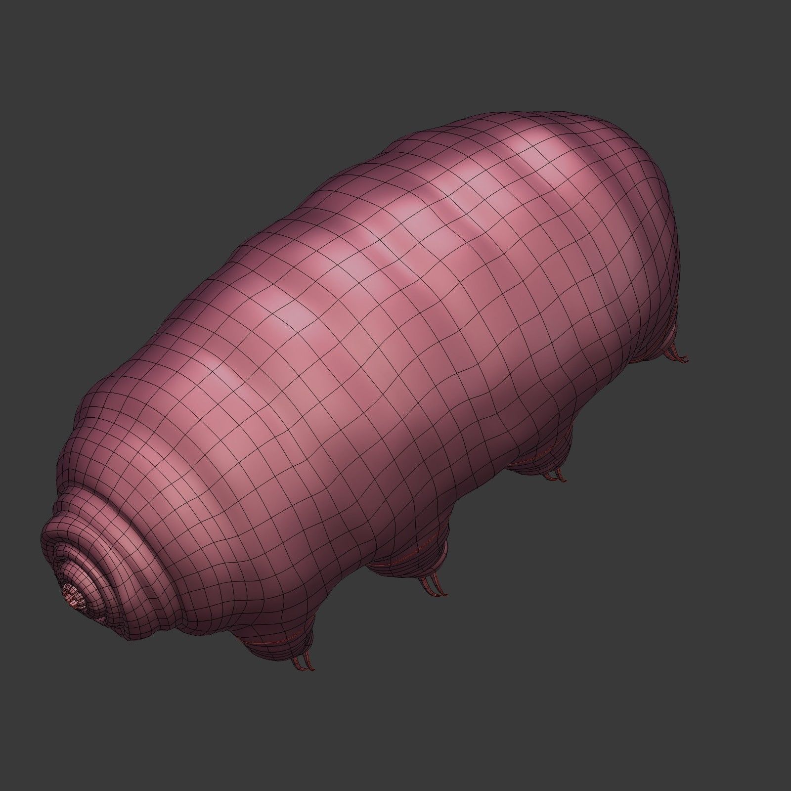Tardigrade - Microscopic Water Bear - Moss Piglet Low-poly 3D model_20