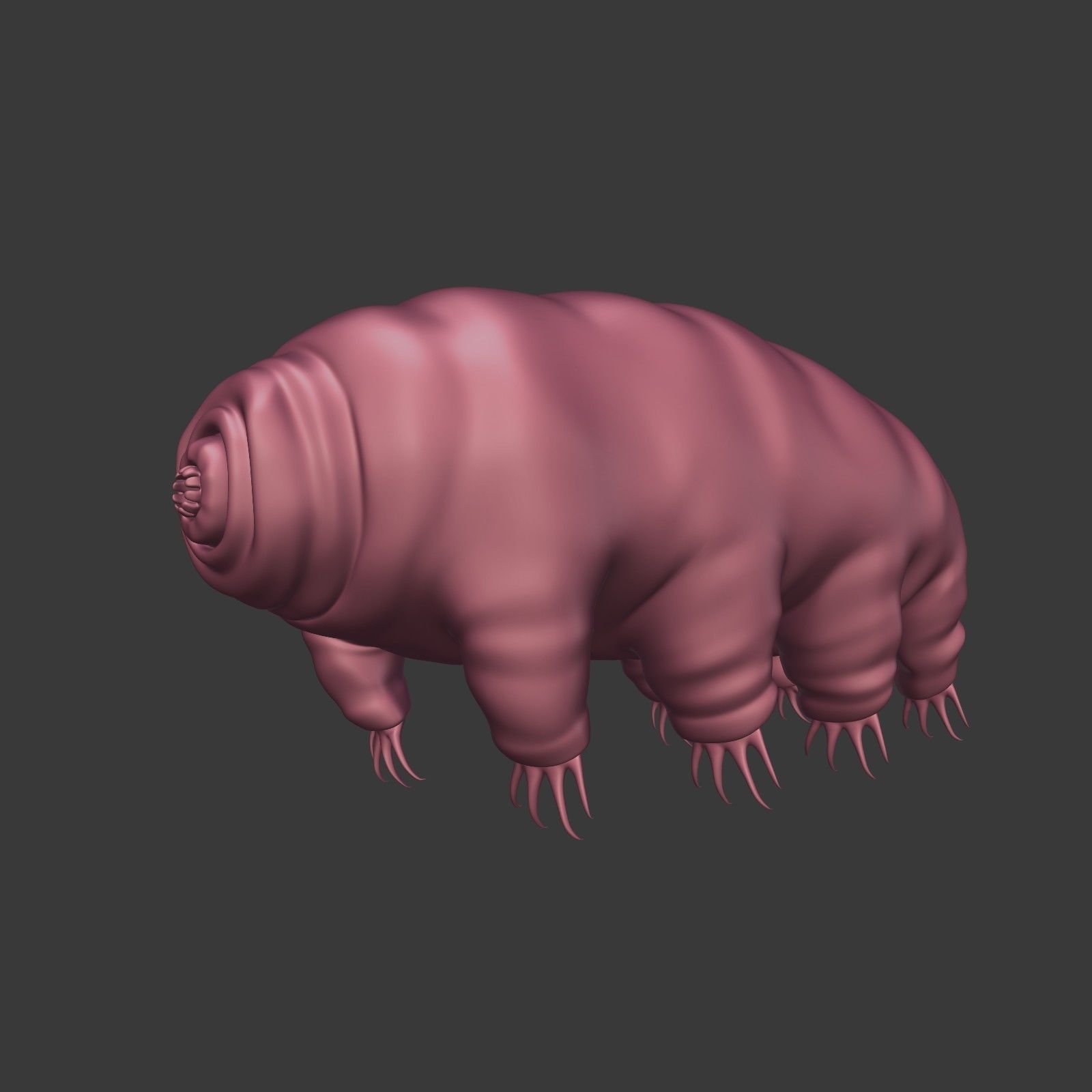 Tardigrade - Microscopic Water Bear - Moss Piglet Low-poly 3D model_4