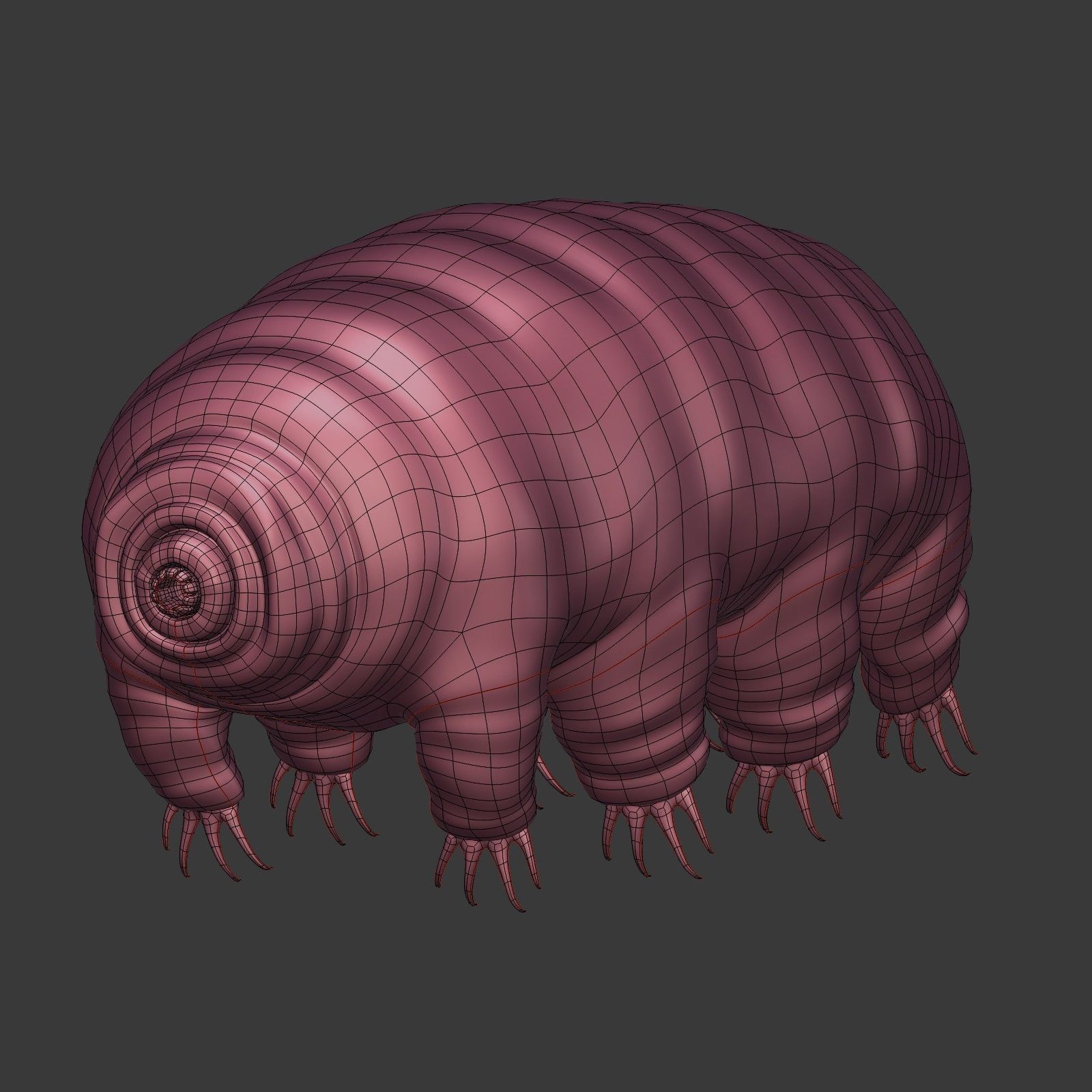 Tardigrade - Microscopic Water Bear - Moss Piglet Low-poly 3D model_7