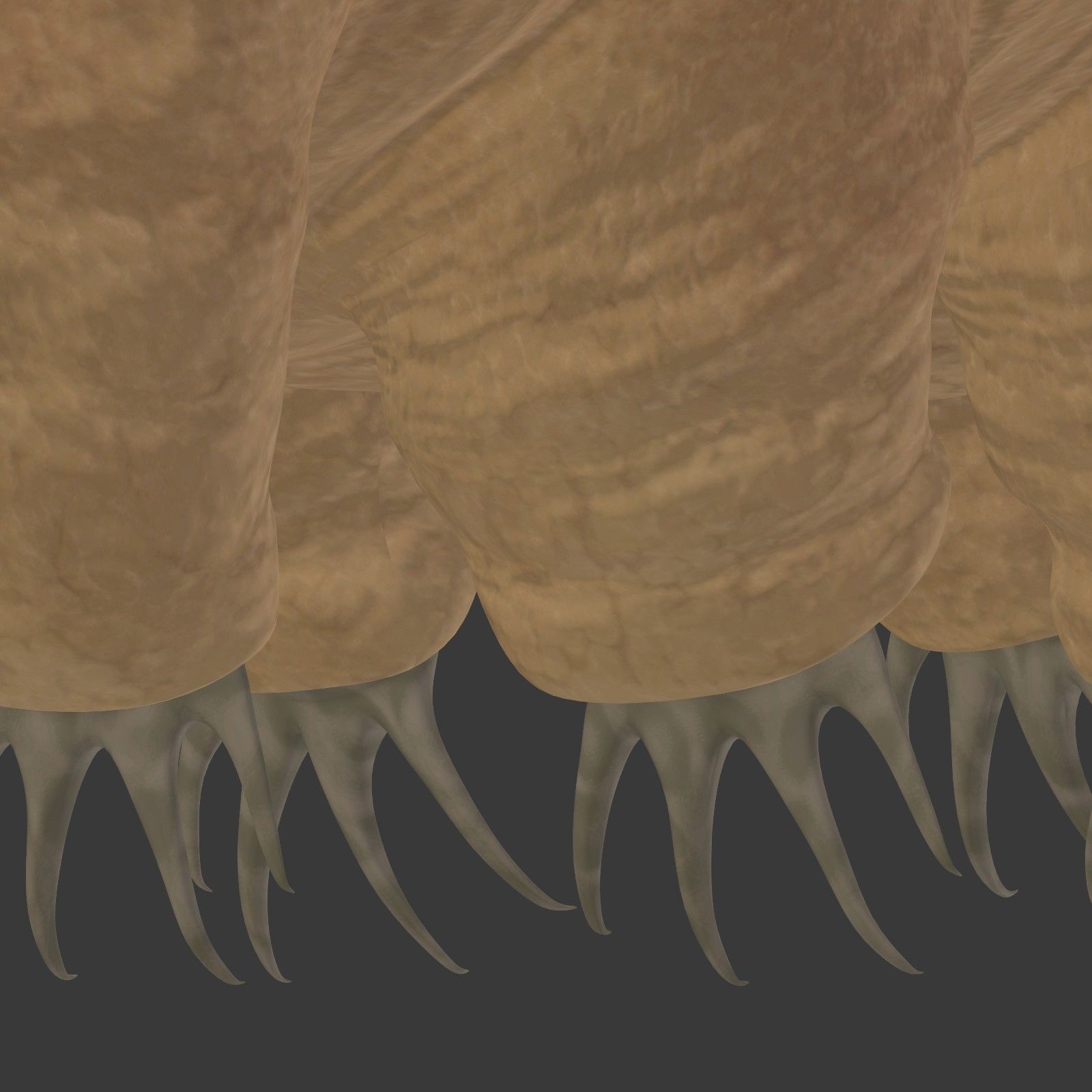 Tardigrade - Microscopic Water Bear - Moss Piglet Low-poly 3D model_23