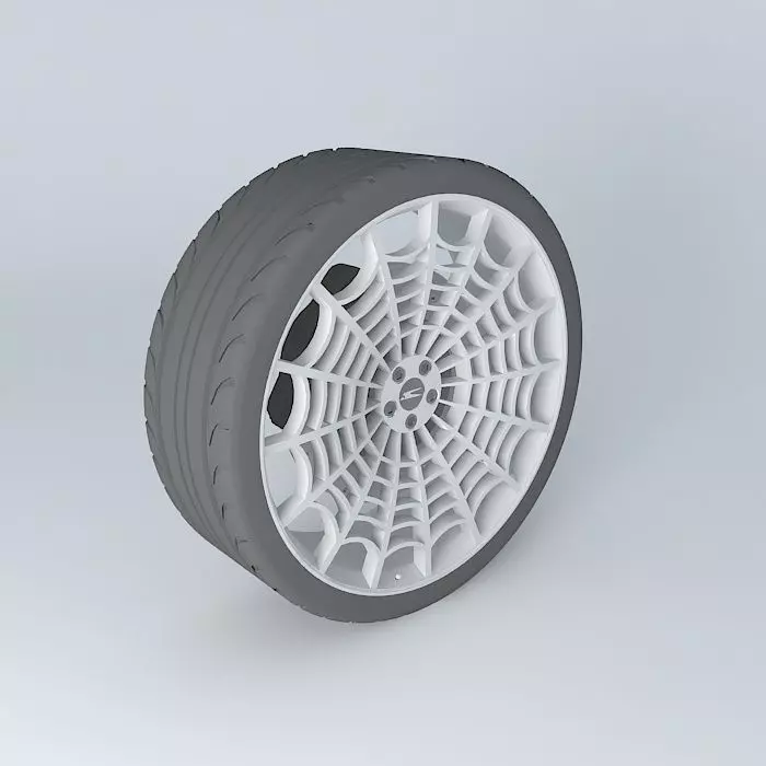 Condor Spider Web WD-002 Free 3D model