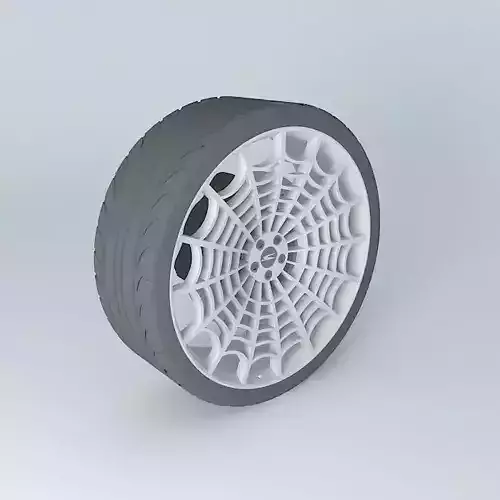 Condor Spider Web WD-002 Free 3D model