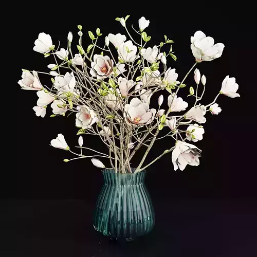 Plant 11 3D model