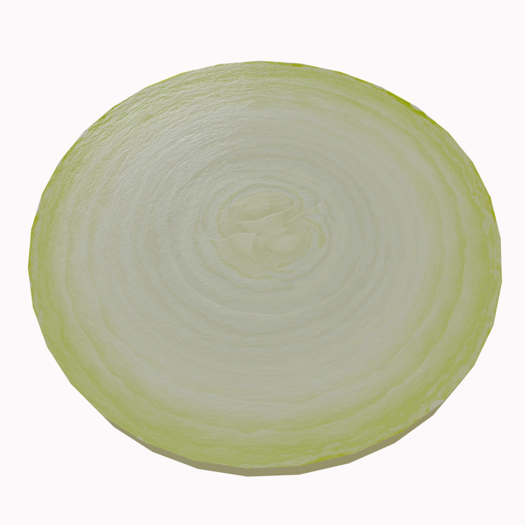 Low Poly Onion photorealistic 3d model scene Low-poly 3D model_5