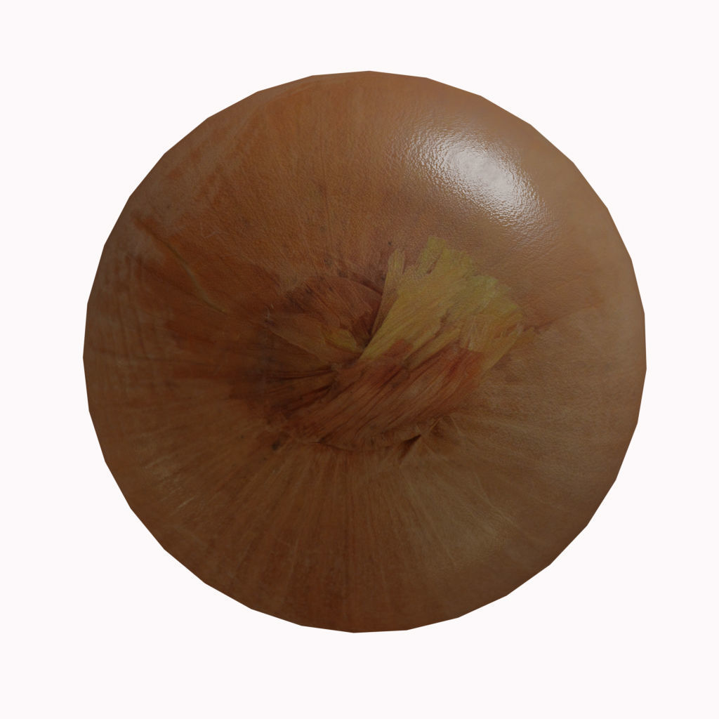 Low Poly Onion photorealistic 3d model scene Low-poly 3D model_3