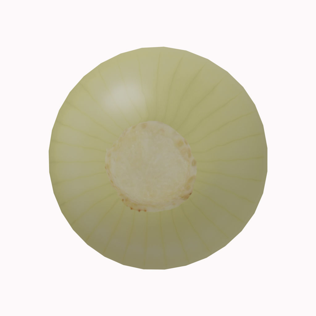 Low Poly Onion photorealistic 3d model scene Low-poly 3D model_6