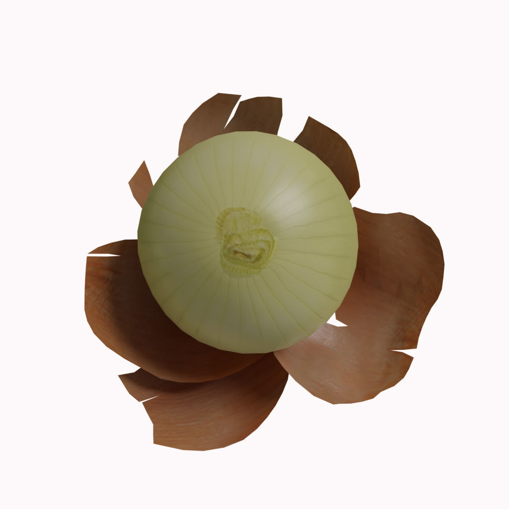 Low Poly Onion photorealistic 3d model scene Low-poly 3D model_2