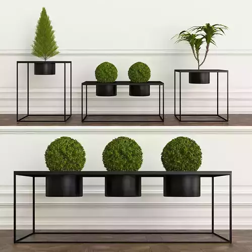PLANTS 7 table with three potted