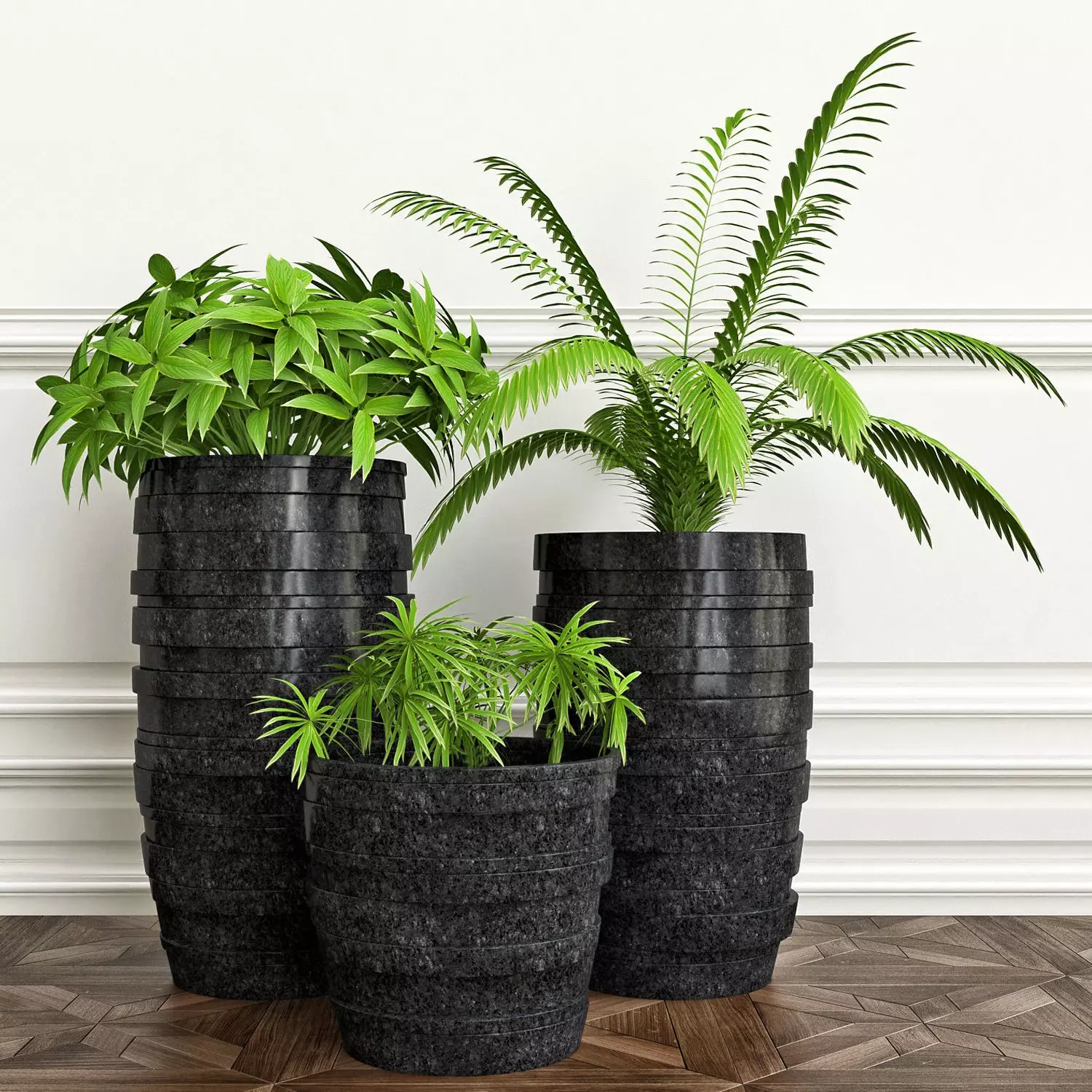 PLANTS 13 3D model_0