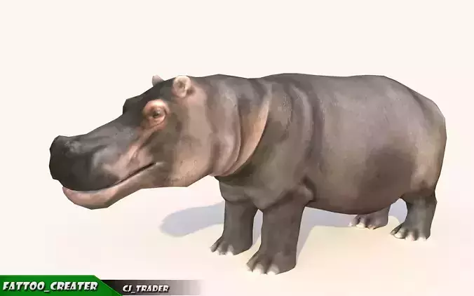 Lowpoly Hippopotamus Animated 3D model Low-poly 3D model