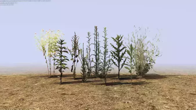 Small plant game pack