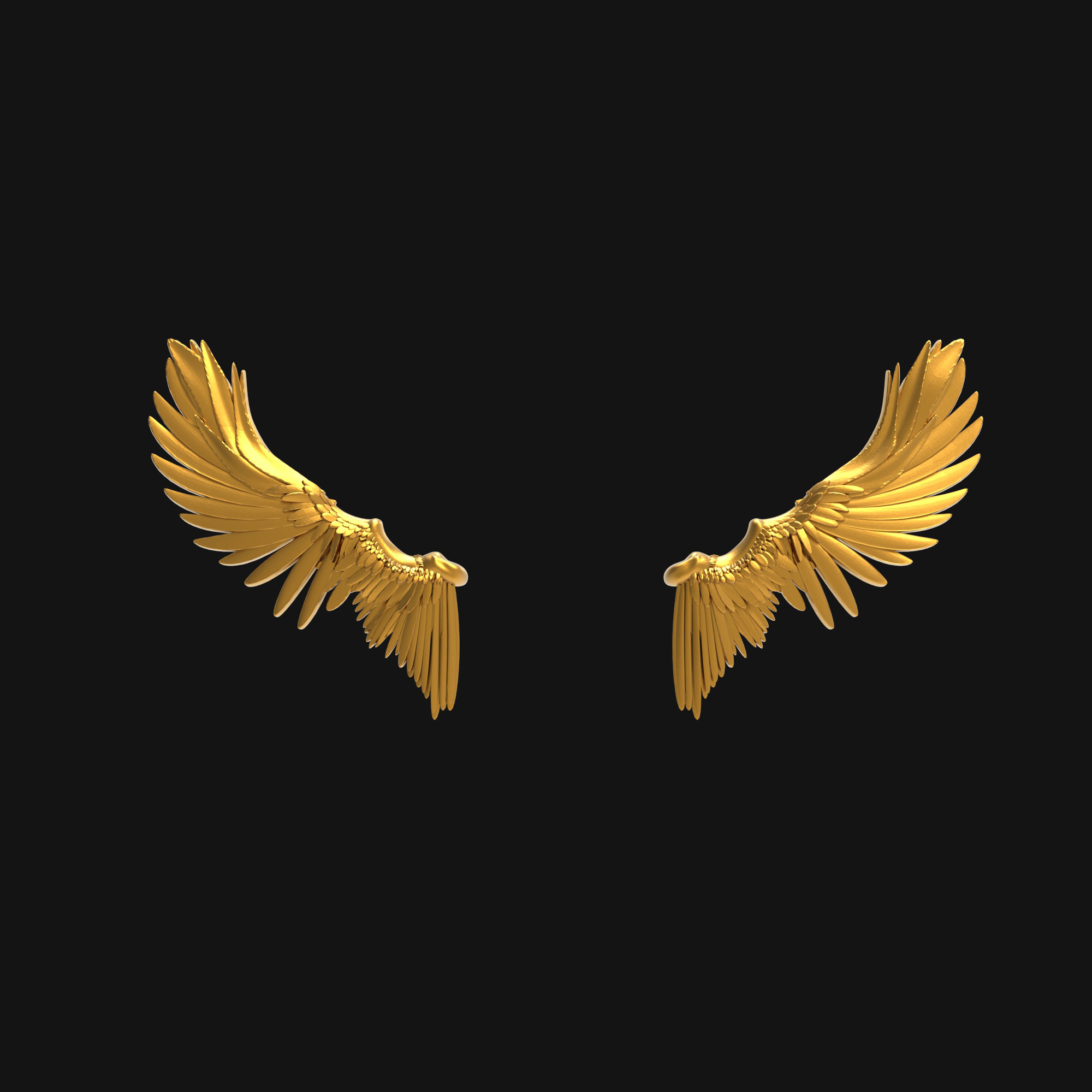 Wings eagle 3D print model_3