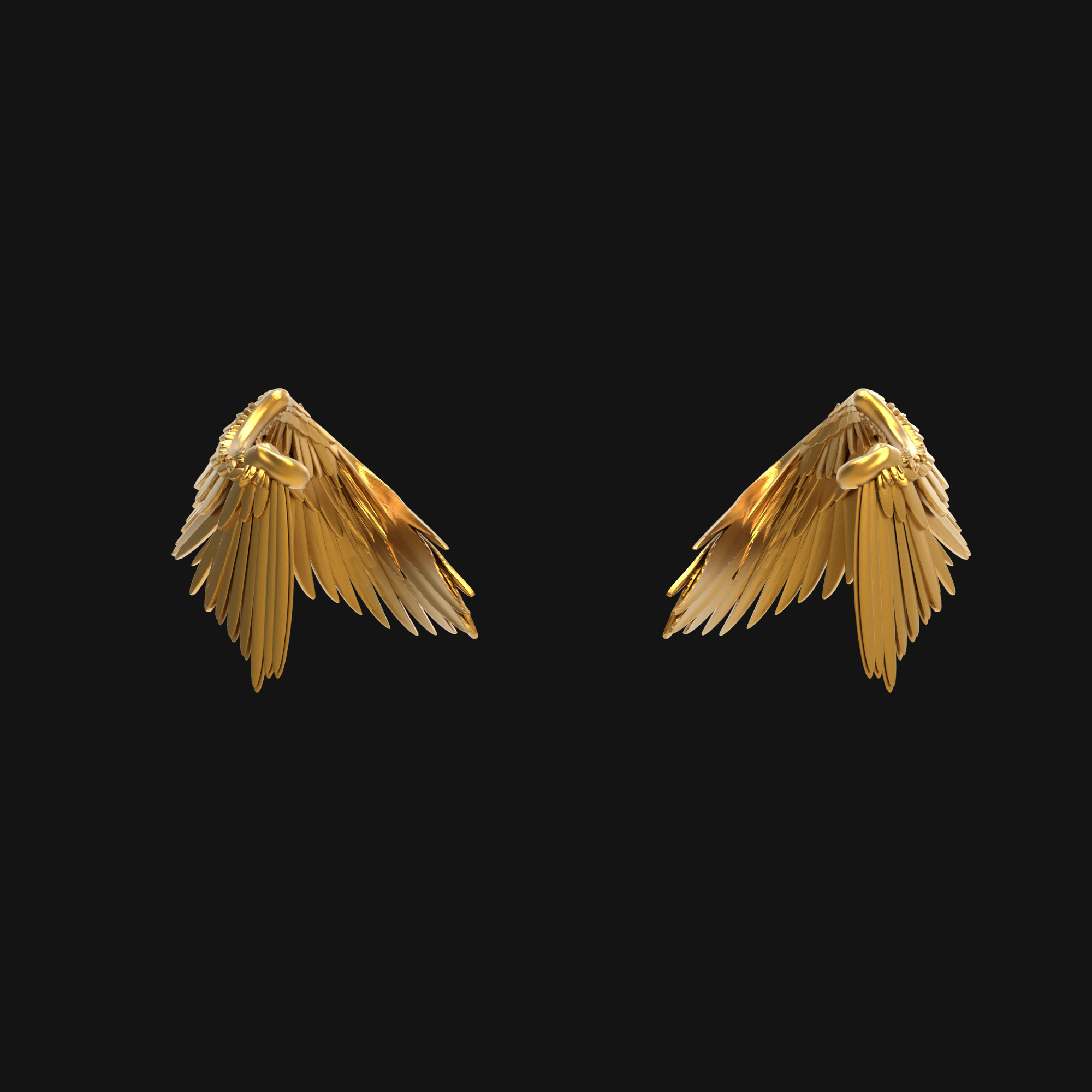 Wings eagle 3D print model_1