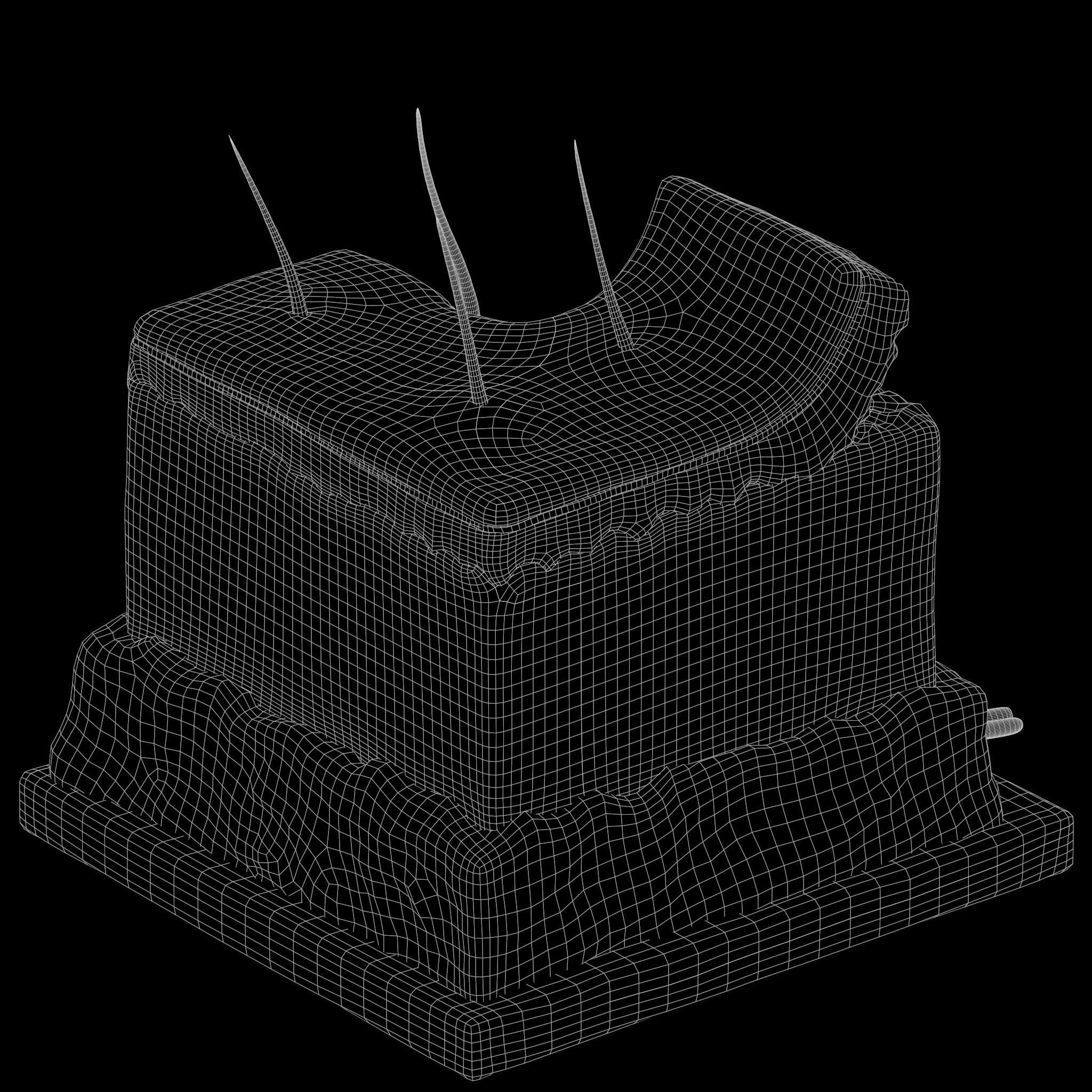 Skin Anatomy 3D model_6