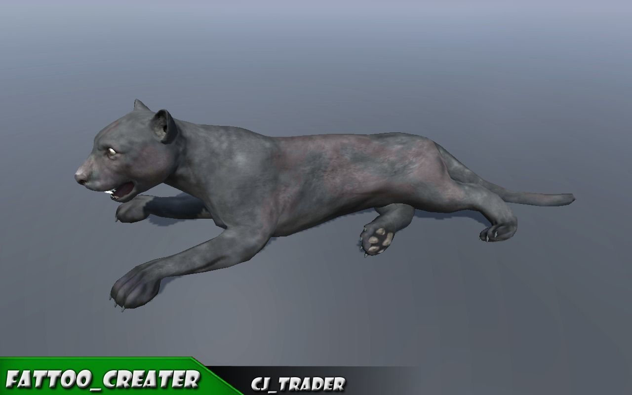 Lowpoly Wild Animal Puma Rigged 3D model Low-poly 3D model_3
