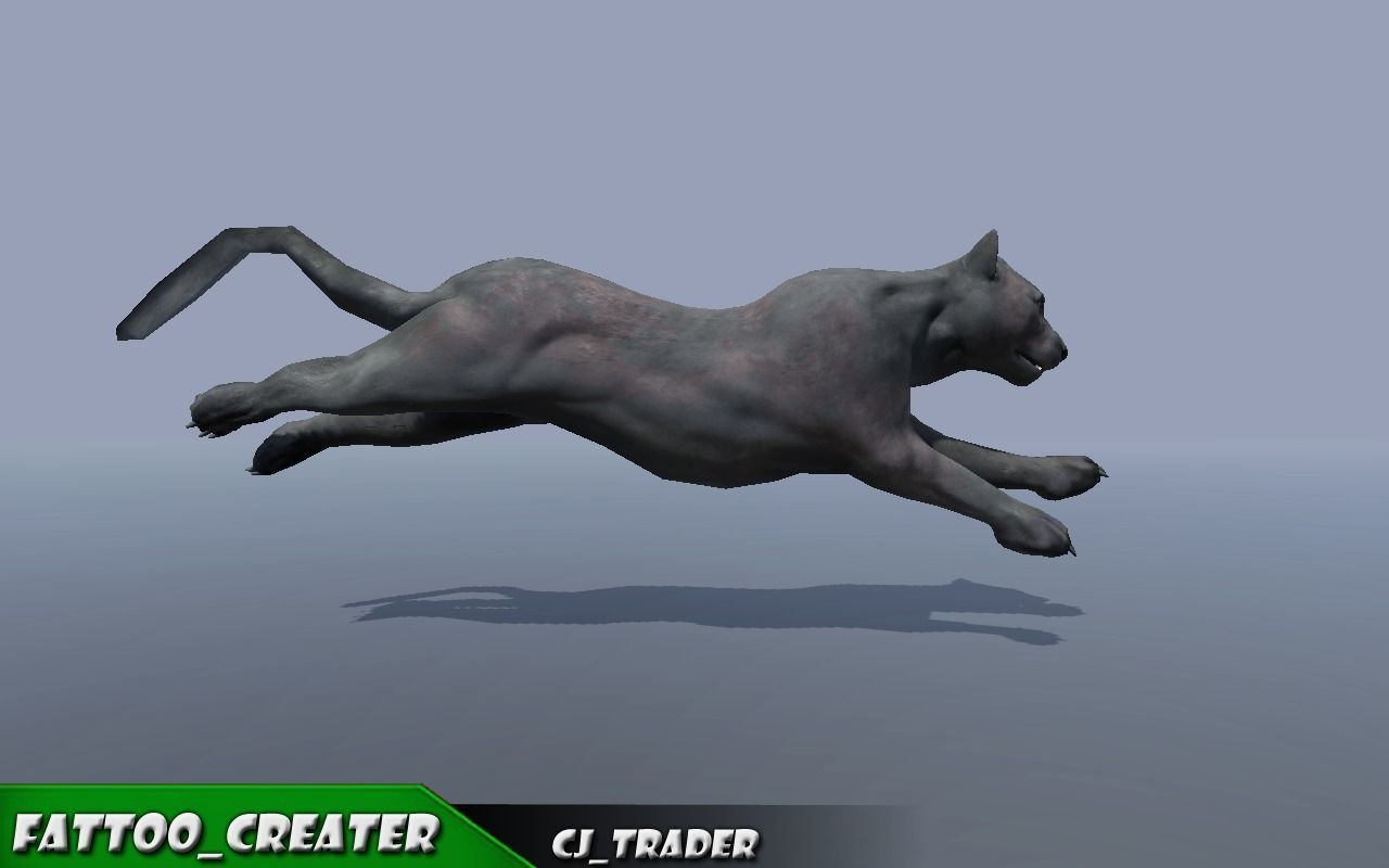 Lowpoly Wild Animal Puma Rigged 3D model Low-poly 3D model_2