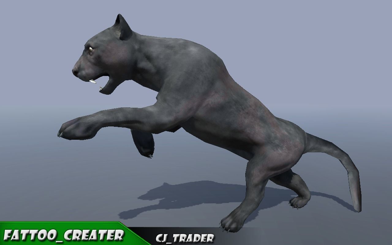 Lowpoly Wild Animal Puma Rigged 3D model Low-poly 3D model_6