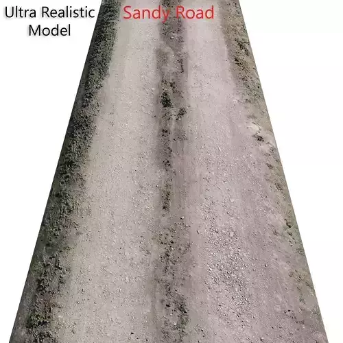 Ultra realistic Sandy Road Scan 2 3D model