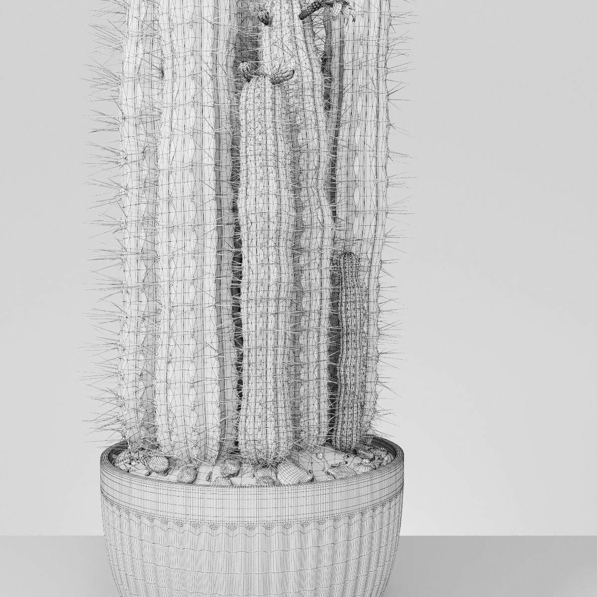 Plant collection hibiscus flower _13