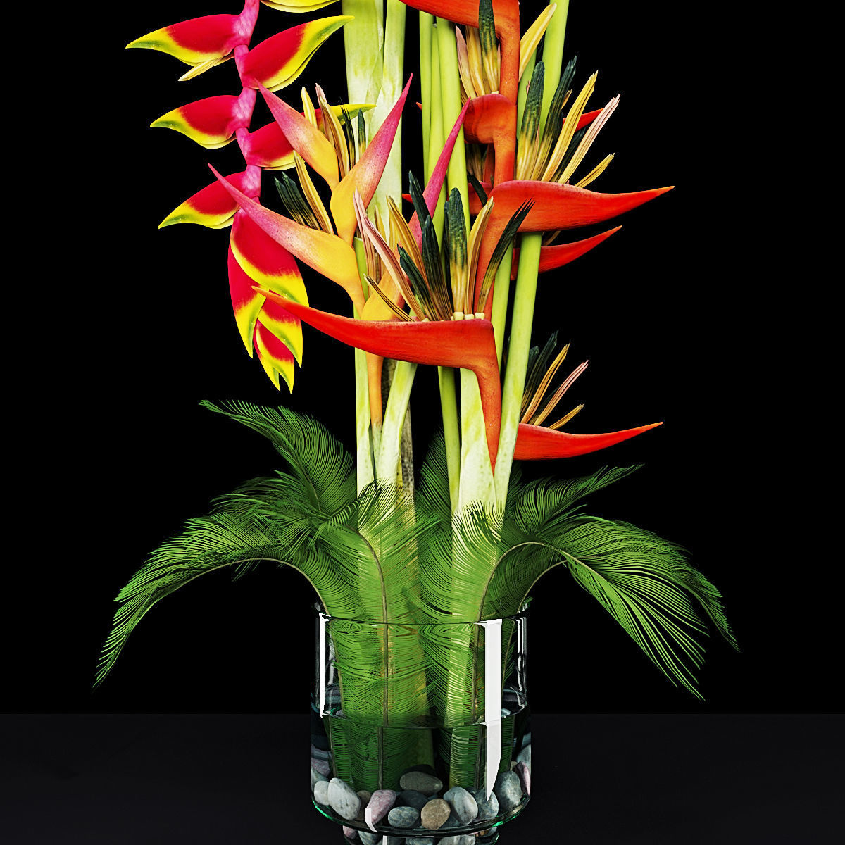 Plant collection hibiscus flower _30