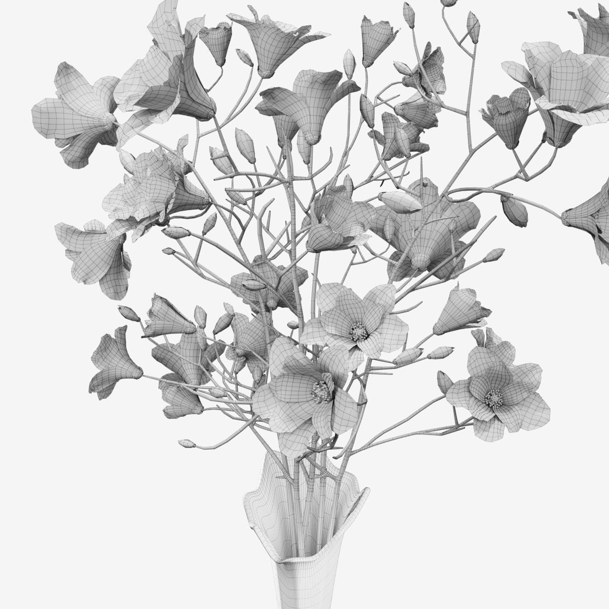 Plant collection hibiscus flower _36