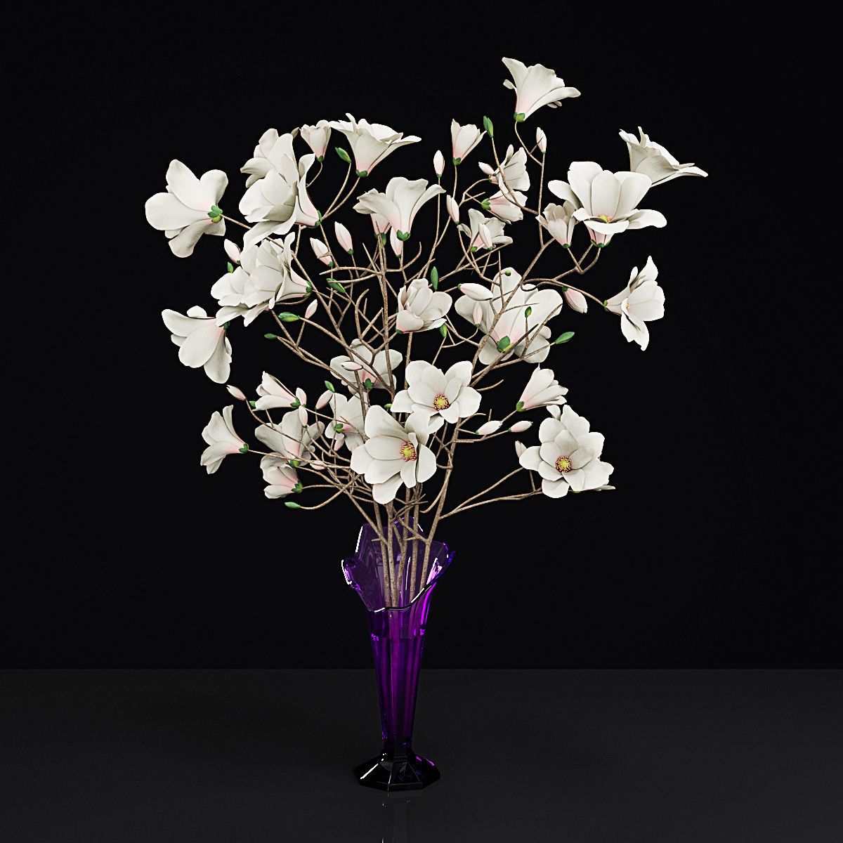 Plant collection hibiscus flower _38