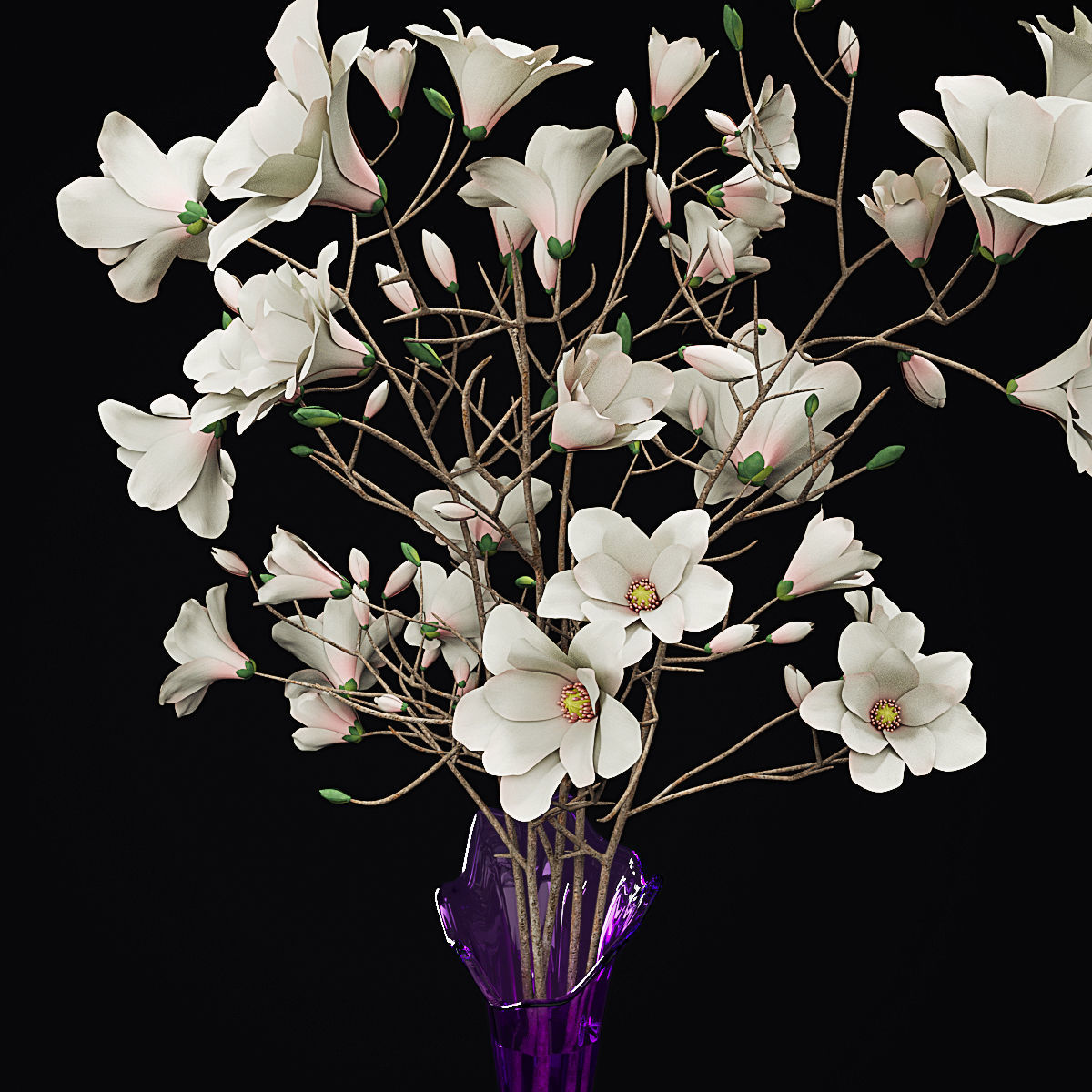 Plant collection hibiscus flower _37