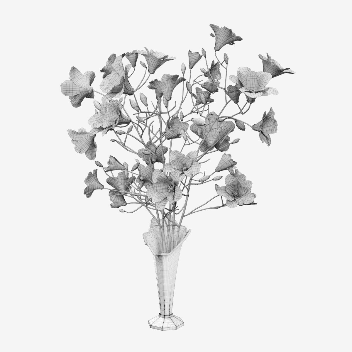 Plant collection hibiscus flower _35