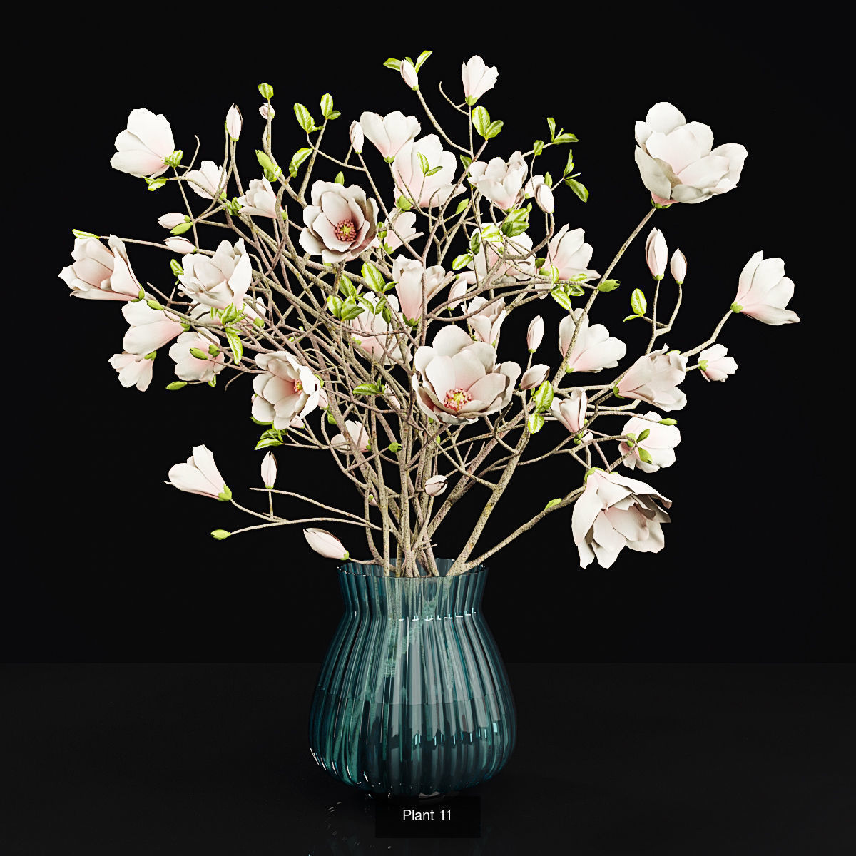 Plant collection hibiscus flower _9