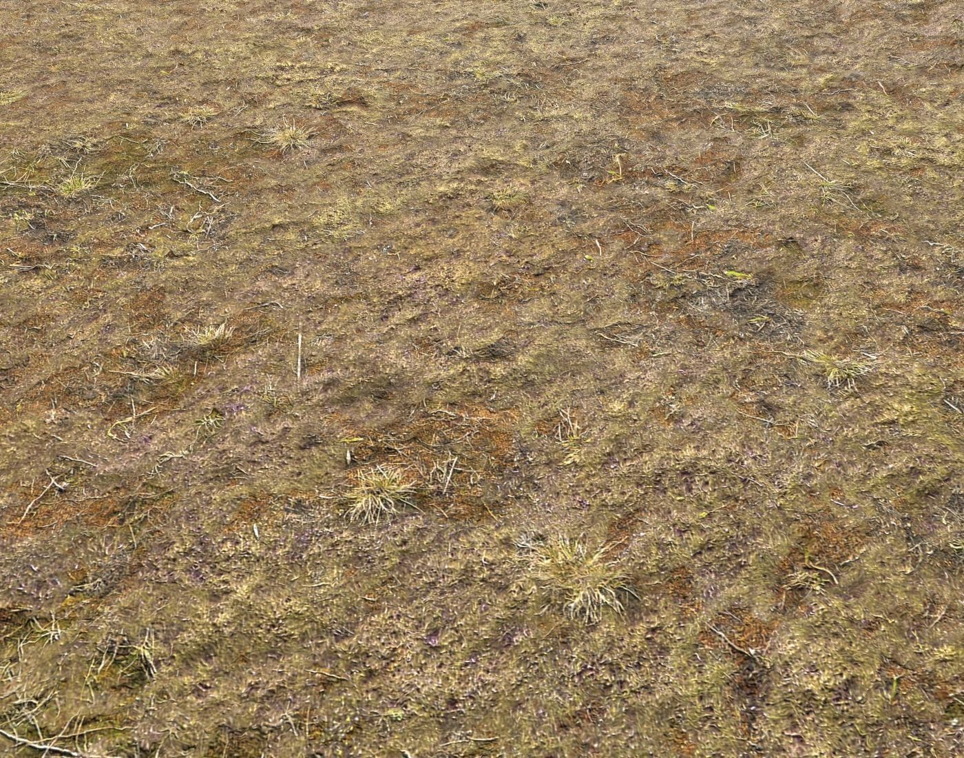 Tundra grass terrain pack Texture_14