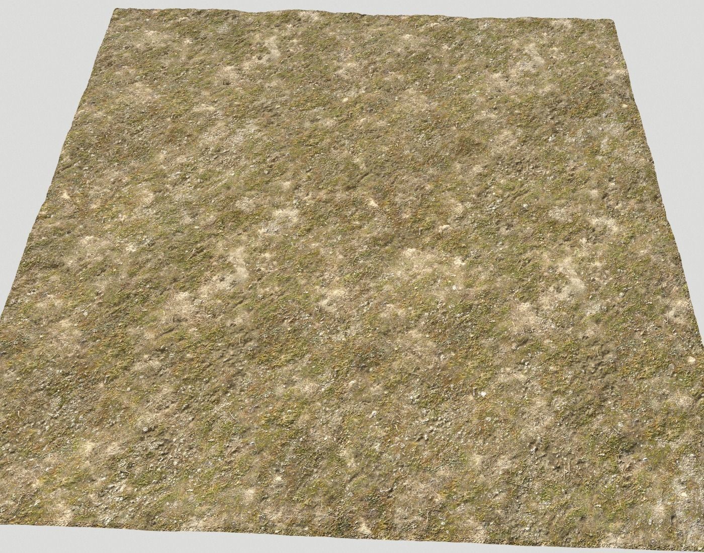 Tundra grass terrain pack Texture_10