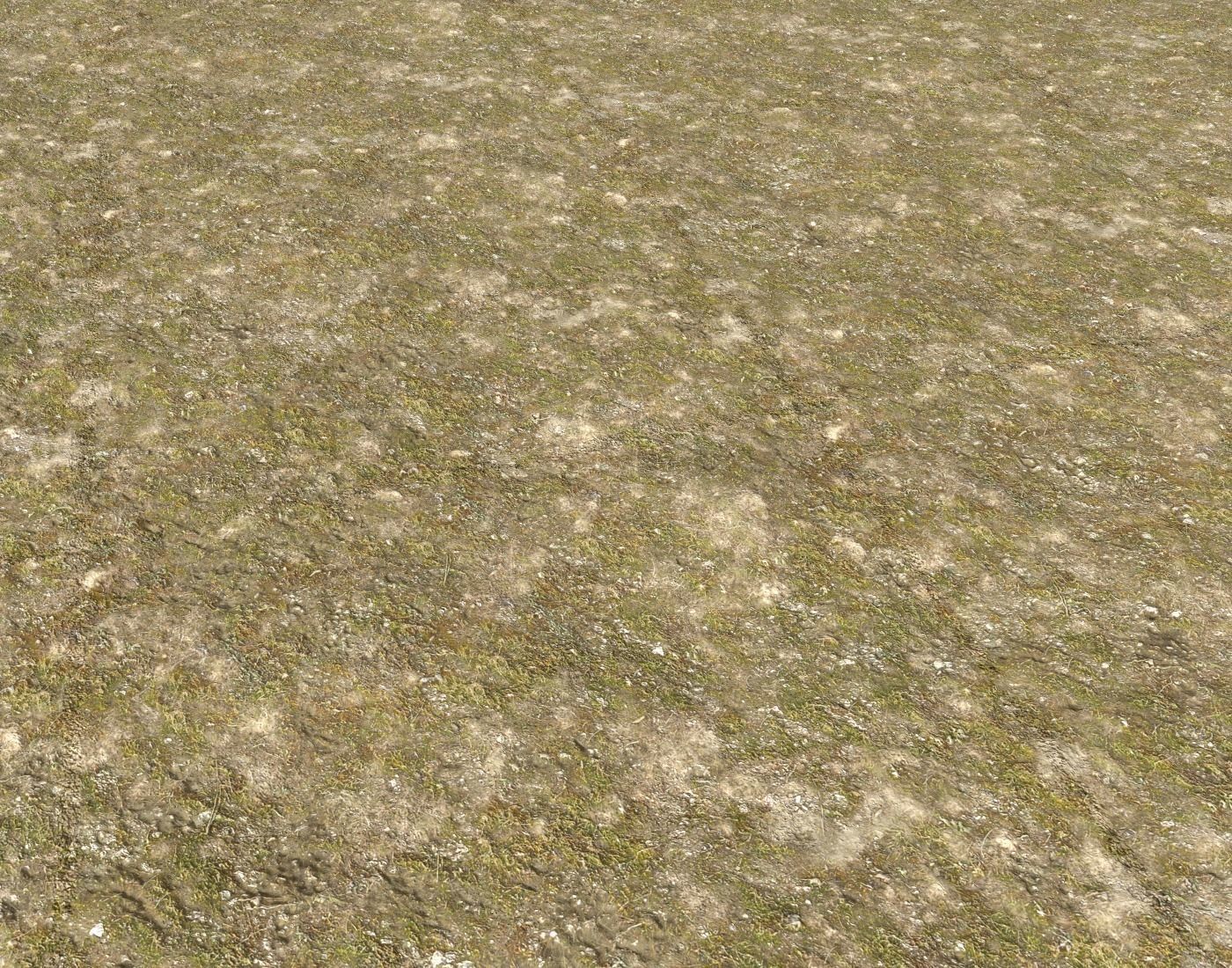 Tundra grass terrain pack Texture_7