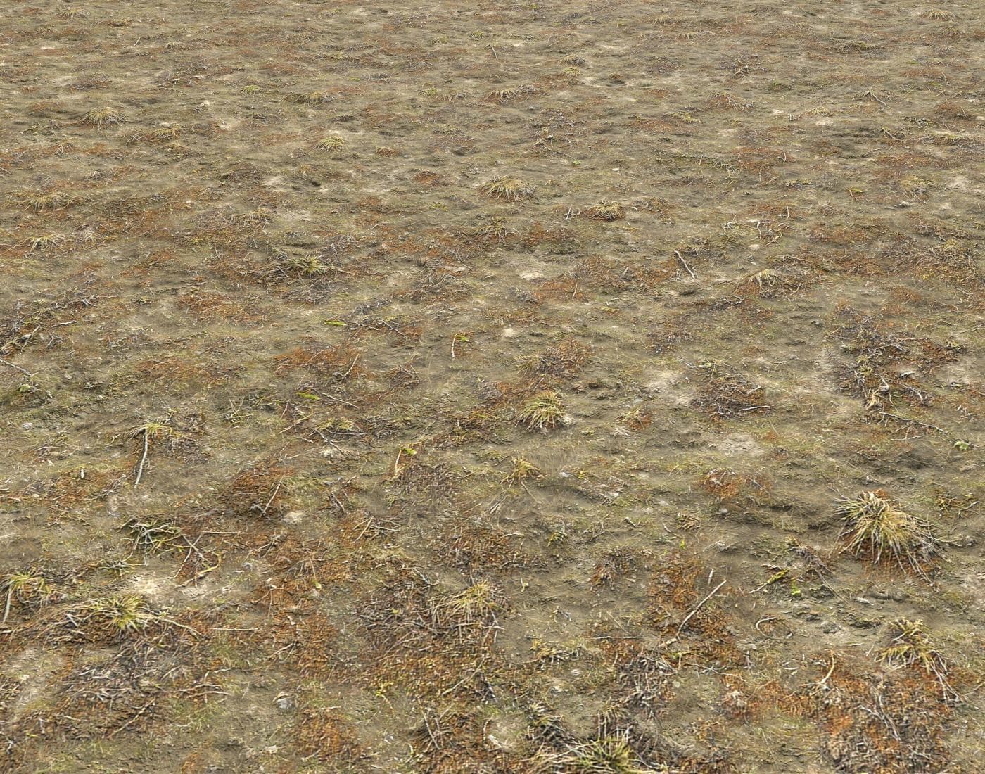 Tundra grass terrain pack Texture_9