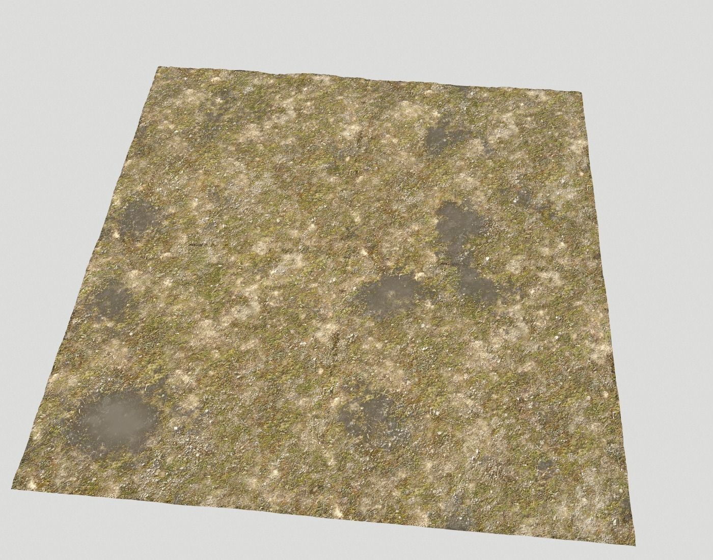 Tundra grass terrain pack Texture_25