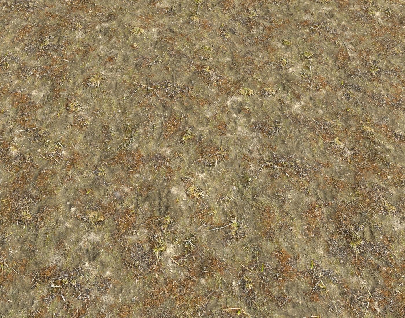Tundra grass terrain pack Texture_13