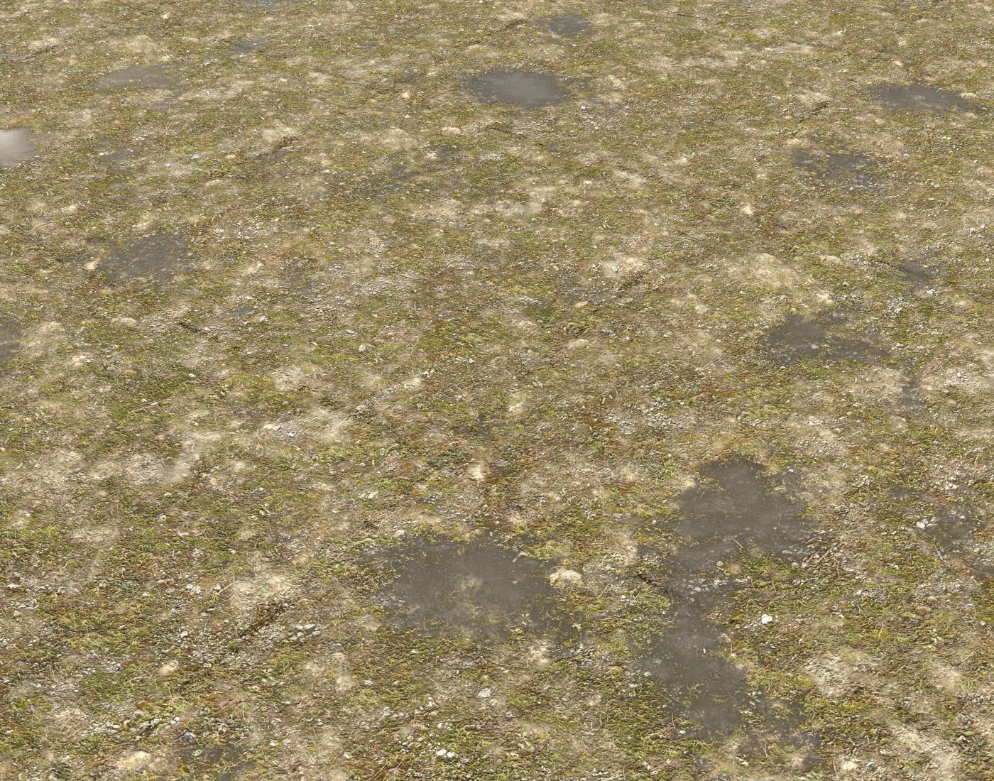Tundra grass terrain pack Texture_20