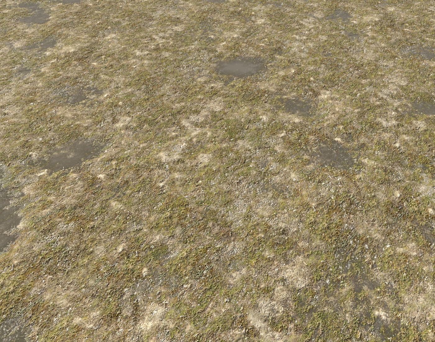 Tundra grass terrain pack Texture_18