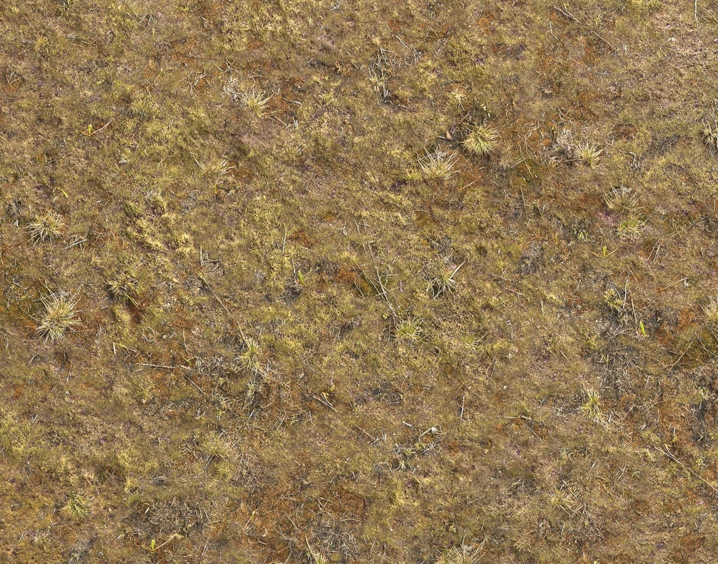 Tundra grass terrain pack Texture_21