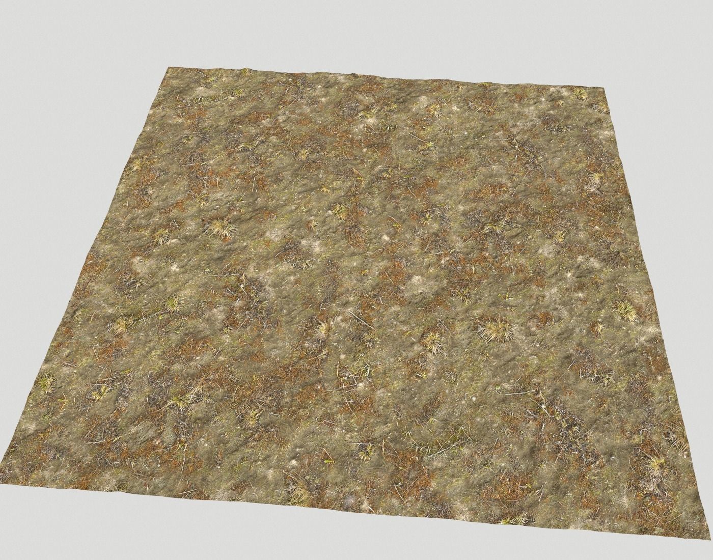 Tundra grass terrain pack Texture_15