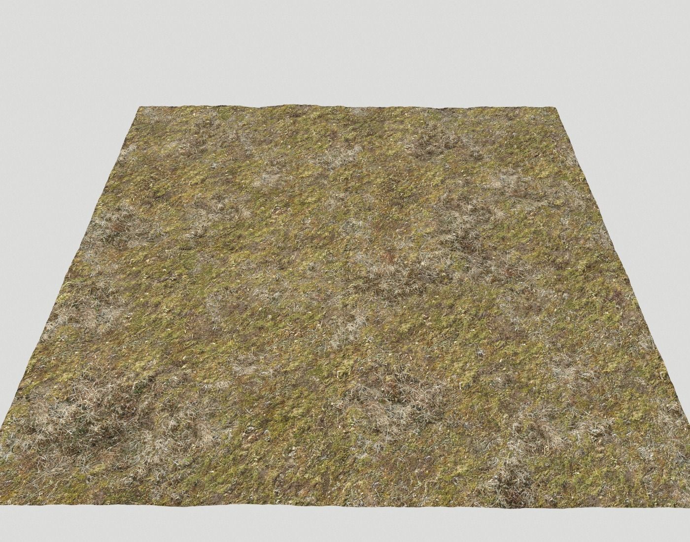 Tundra grass terrain pack Texture_29