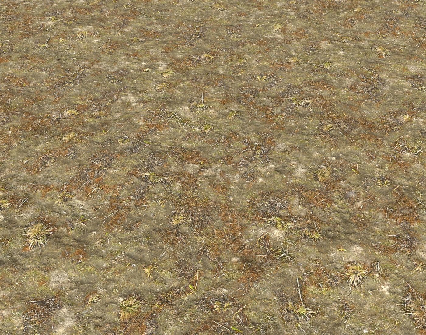 Tundra grass terrain pack Texture_12