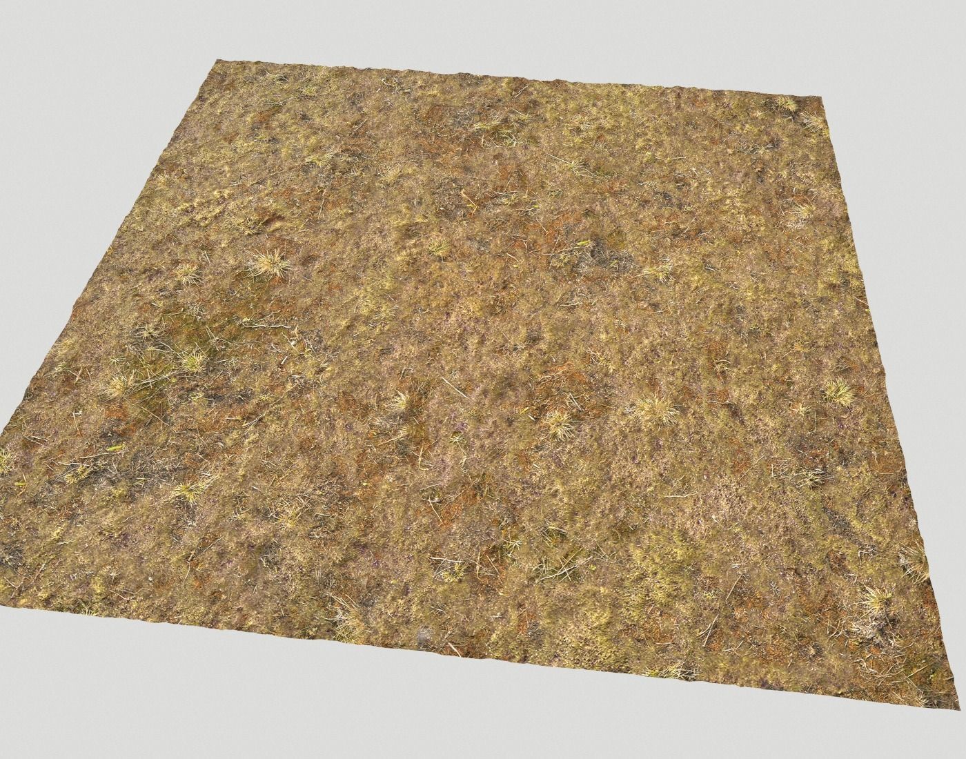 Tundra grass terrain pack Texture_23