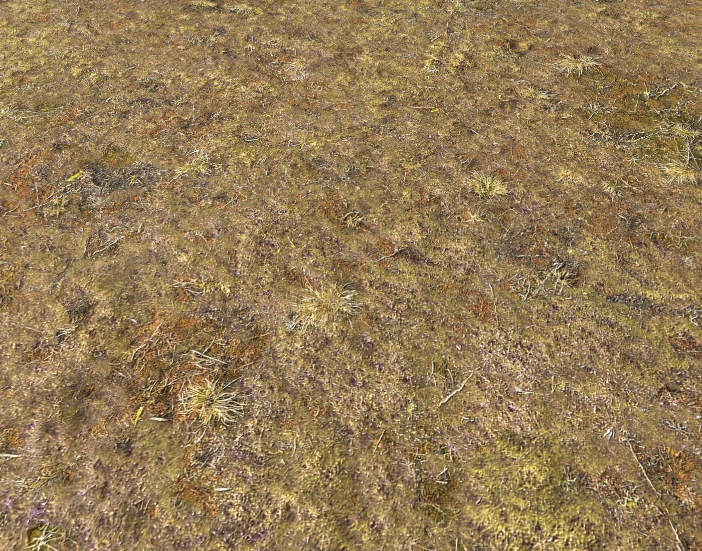 Tundra grass terrain pack Texture_17