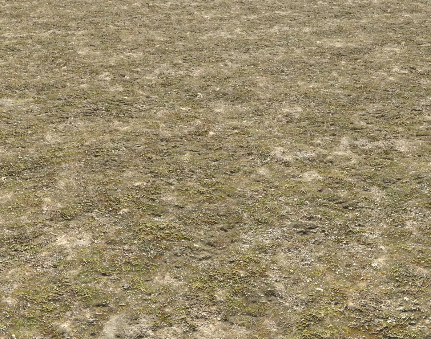 Tundra grass terrain pack Texture_0