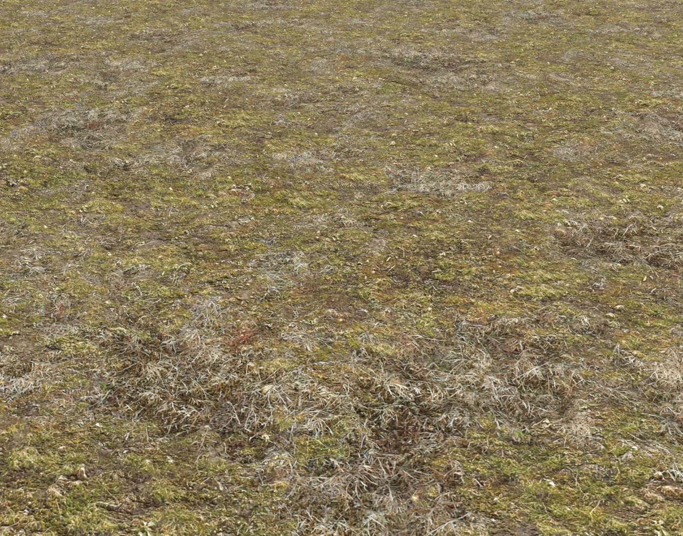 Tundra grass terrain pack Texture_27