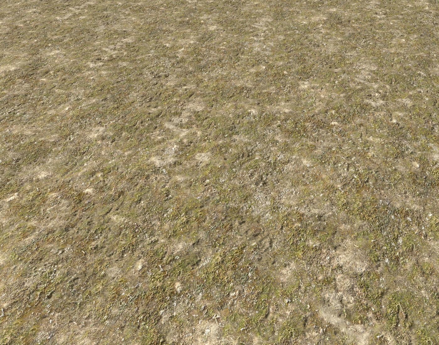 Tundra grass terrain pack Texture_6