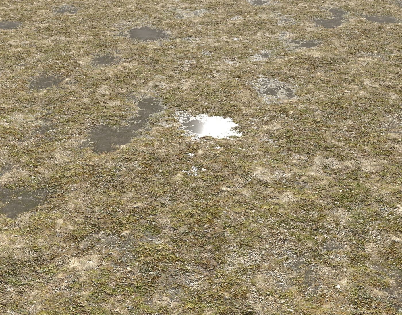 Tundra grass terrain pack Texture_16