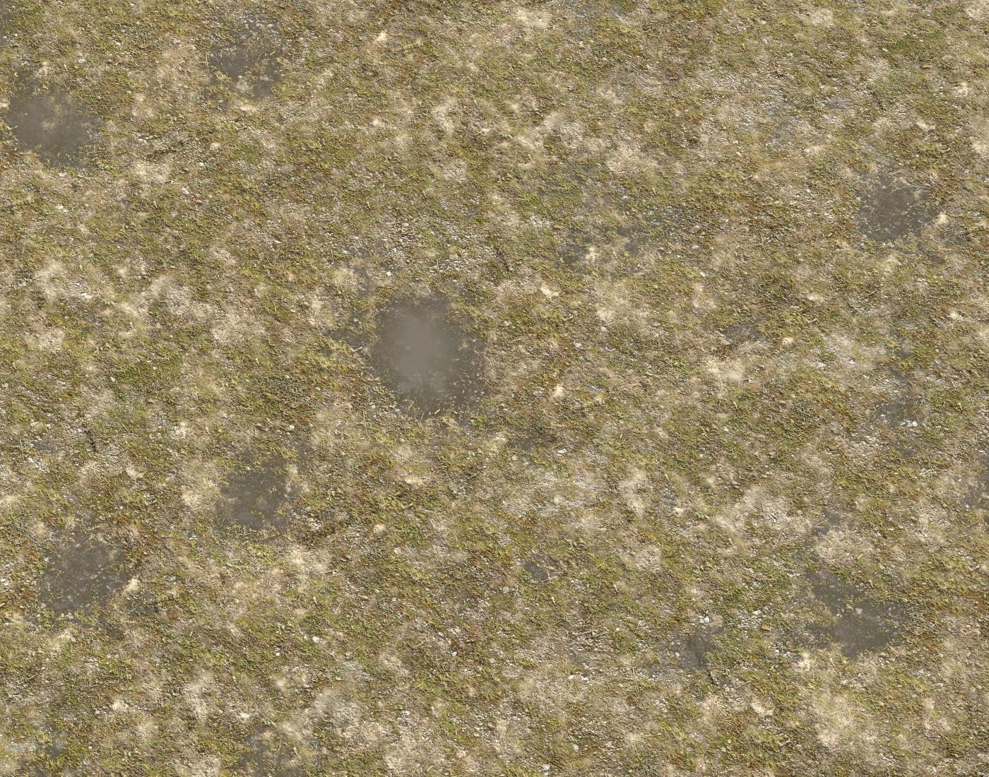 Tundra grass terrain pack Texture_22