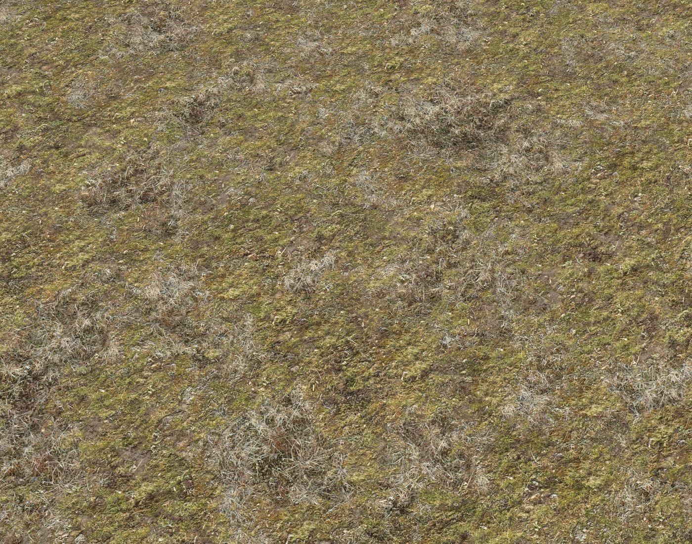 Tundra grass terrain pack Texture_28